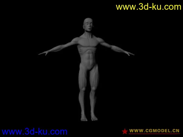 标准男人体模型的图片2