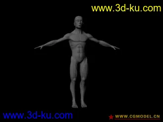 3D打印模型标准男人体的图片
