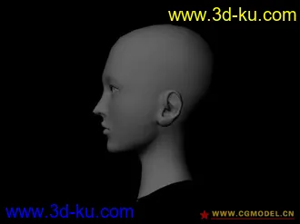 3D打印模型女人头的图片