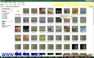 植物模型的图片