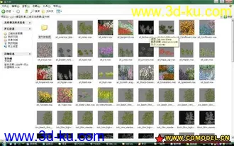 植物模型的图片