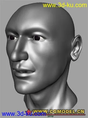 3D打印模型国外大师NUBRS人头建模的图片