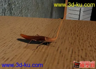 3D打印模型建的一只蟑螂带骨骼和贴图的图片