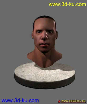 3D打印模型按照教程做的一个人头的图片