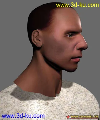 3D打印模型按照教程做的一个人头的图片