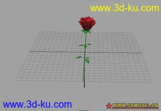 3D打印模型玫瑰花的图片