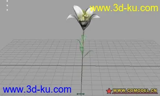 3D打印模型百合花的图片
