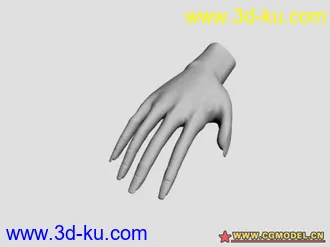 手模型的图片