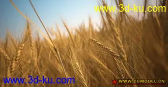3D打印模型很漂亮的麦田场景的图片