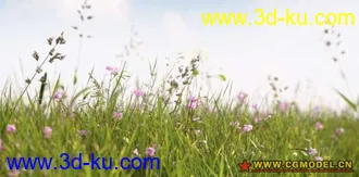 3D打印模型很漂亮的照片级草地场景的图片