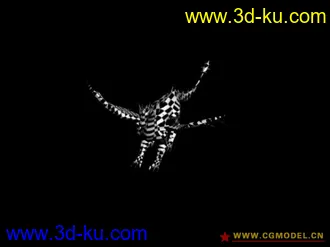 动物的模型的图片