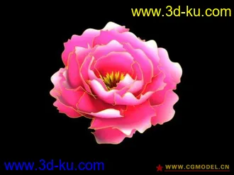 牡丹模型带材质的图片
