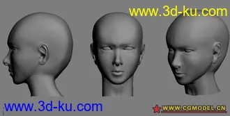 3D打印模型人头布线的图片