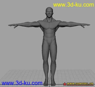 3D打印模型基础男人体的图片