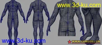 男人体模型的图片