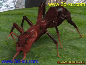 3D打印模型蚂蚁的图片