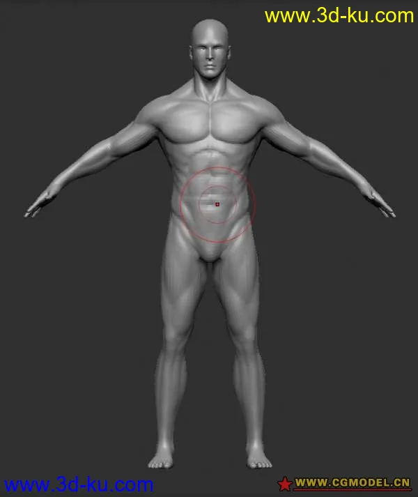 比较实用的男人体模型,低模MAX,高模ZB.的图片1