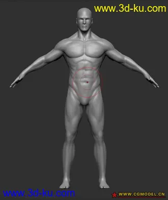比较实用的男人体模型,低模MAX,高模ZB.的图片