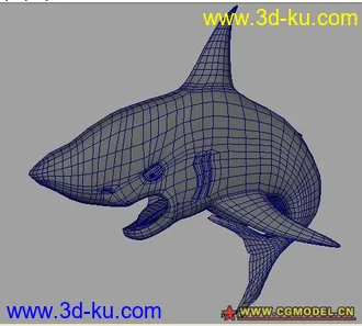 3D打印模型鲨鱼的图片