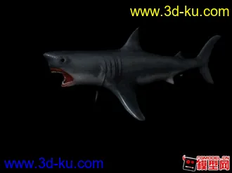 3D打印模型鲨鱼  +材质的图片