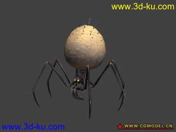 蛛蛛模型的图片1
