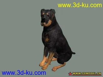 3D打印模型黑狗兄的图片