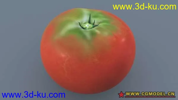 西红柿模型的图片1