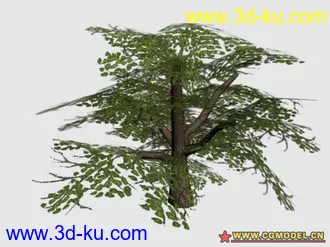 偷模型 不犯法 游戏简模的图片