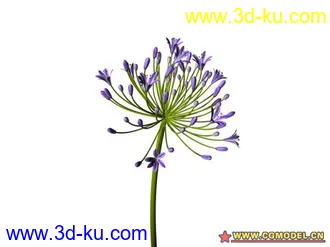 3D打印模型树的图片