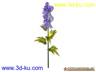 3D打印模型树的图片