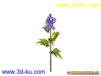 3D打印模型树的图片