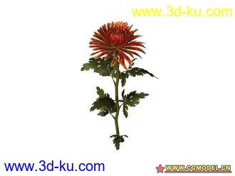 3D打印模型树的图片