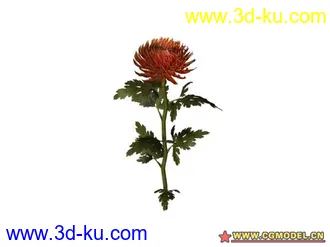 3D打印模型树的图片