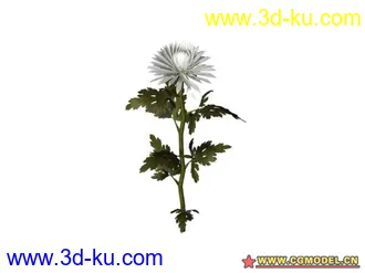 3D打印模型树的图片