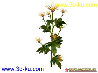 3D打印模型树的图片