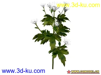 3D打印模型树的图片