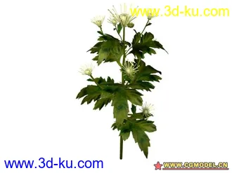 3D打印模型树的图片