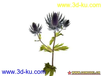 3D打印模型树的图片