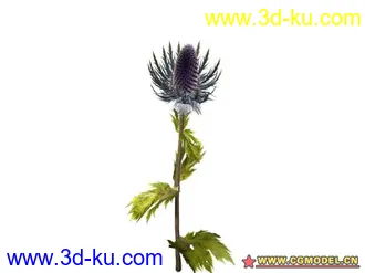 3D打印模型树的图片