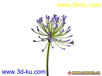 3D打印模型树的图片