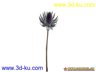 3D打印模型树的图片