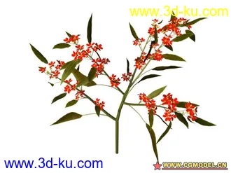 3D打印模型树的图片