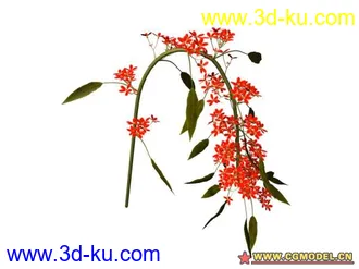 3D打印模型树的图片