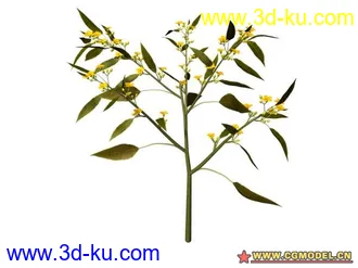 3D打印模型树的图片