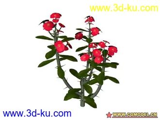 3D打印模型树的图片