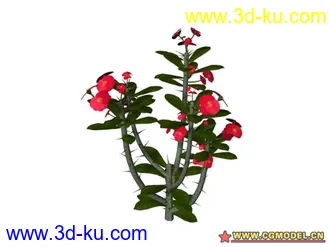 3D打印模型树的图片