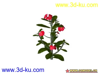 3D打印模型树的图片