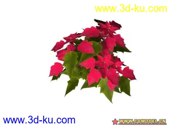 3D打印模型树的图片