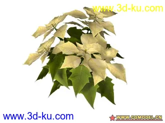 3D打印模型树的图片