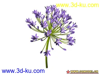 3D打印模型树的图片